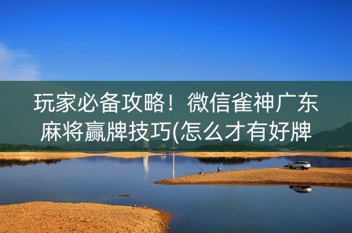 玩家必备攻略！微信雀神广东麻将赢牌技巧(怎么才有好牌)