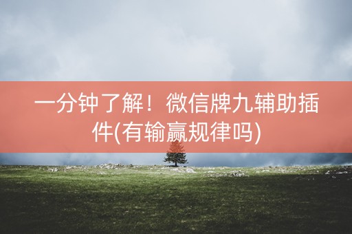 一分钟了解！微信牌九辅助插件(有输赢规律吗)