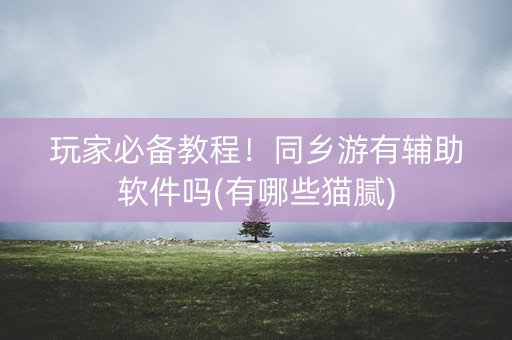 玩家必备教程！同乡游有辅助软件吗(有哪些猫腻)
