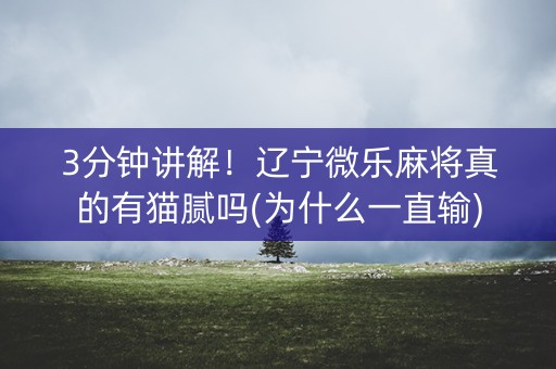 3分钟讲解！辽宁微乐麻将真的有猫腻吗(为什么一直输)