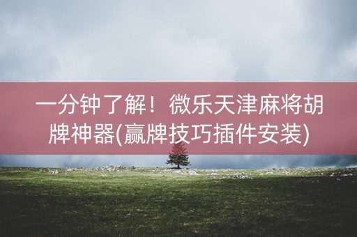 一分钟了解！微乐天津麻将胡牌神器(赢牌技巧插件安装)