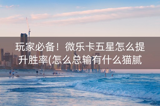 玩家必备！微乐卡五星怎么提升胜率(怎么总输有什么猫腻)