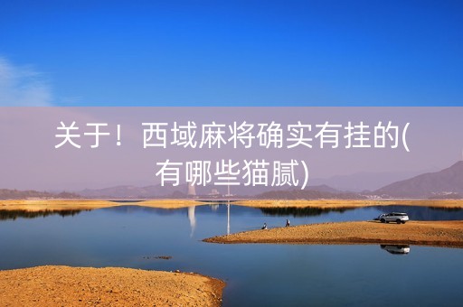 关于！西域麻将确实有挂的(有哪些猫腻)