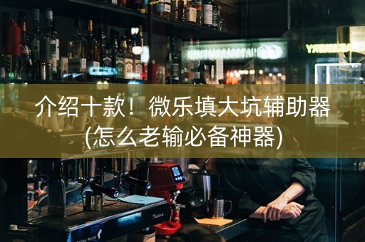介绍十款！微乐填大坑辅助器(怎么老输必备神器)