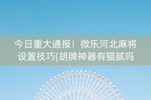 今日重大通报！微乐河北麻将设置技巧(胡牌神器有猫腻吗)