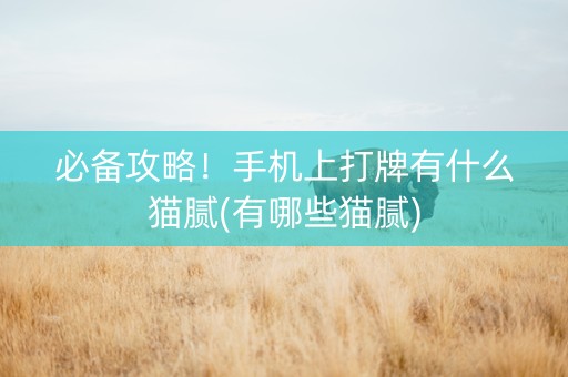 必备攻略！手机上打牌有什么猫腻(有哪些猫腻)