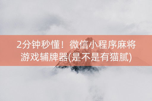 2分钟秒懂！微信小程序麻将游戏辅牌器(是不是有猫腻)