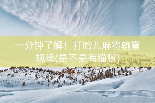 一分钟了解！打哈儿麻将输赢规律(是不是有猫腻)