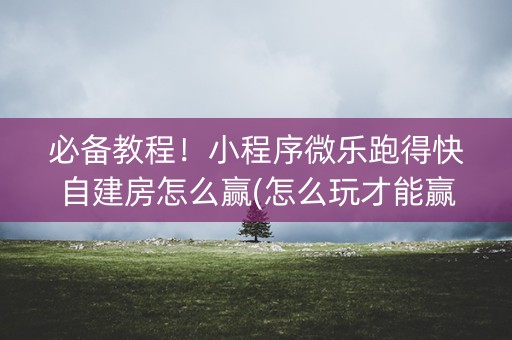 必备教程！小程序微乐跑得快自建房怎么赢(怎么玩才能赢)