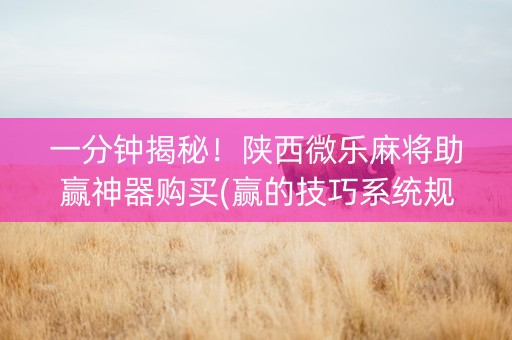 一分钟揭秘！陕西微乐麻将助赢神器购买(赢的技巧系统规律)