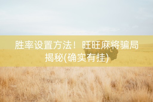 胜率设置方法！旺旺麻将骗局揭秘(确实有挂)