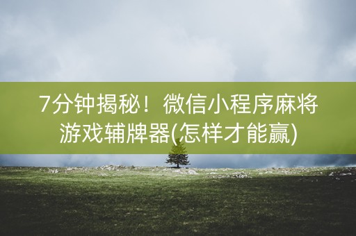 7分钟揭秘！微信小程序麻将游戏辅牌器(怎样才能赢)