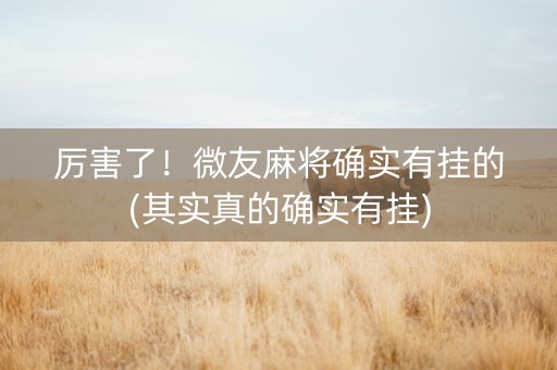 厉害了！微友麻将确实有挂的(其实真的确实有挂)