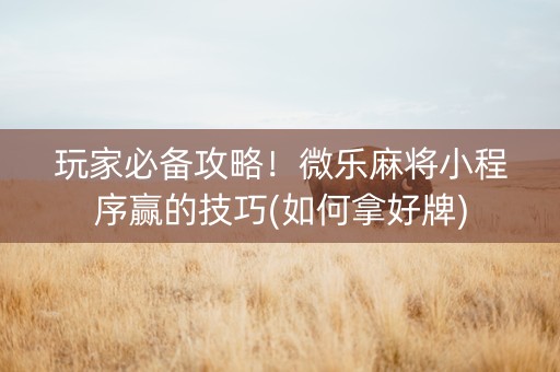 玩家必备攻略！微乐麻将小程序赢的技巧(如何拿好牌)