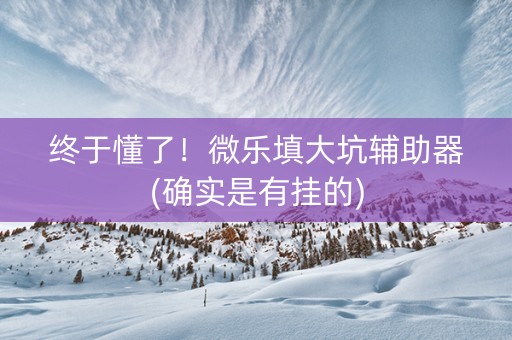 终于懂了！微乐填大坑辅助器(确实是有挂的)