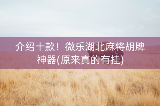 介绍十款！微乐湖北麻将胡牌神器(原来真的有挂)