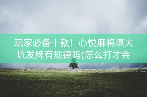 玩家必备十款！心悦麻将填大坑发牌有规律吗(怎么打才会赢)