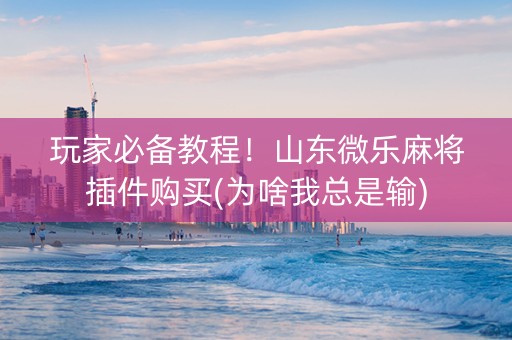 玩家必备教程！山东微乐麻将插件购买(为啥我总是输)