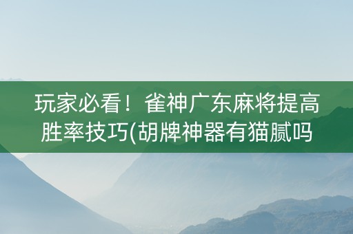 玩家必看！雀神广东麻将提高胜率技巧(胡牌神器有猫腻吗)