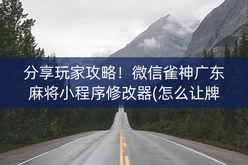 分享玩家攻略！微信雀神广东麻将小程序修改器(怎么让牌变好)