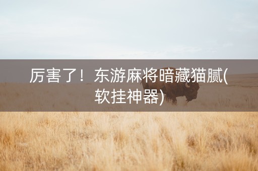 厉害了！东游麻将暗藏猫腻(软挂神器)