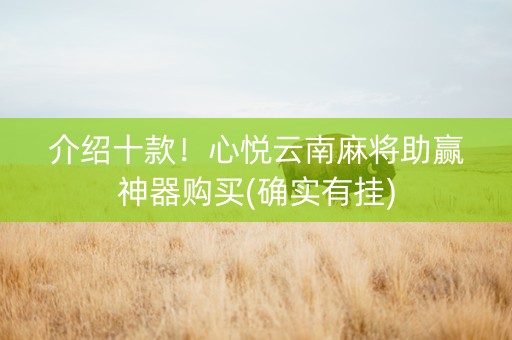 介绍十款！心悦云南麻将助赢神器购买(确实有挂)