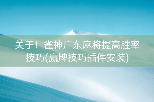 关于！雀神广东麻将提高胜率技巧(赢牌技巧插件安装)