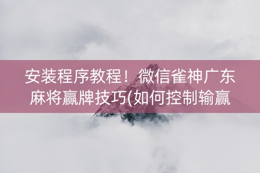 安装程序教程！微信雀神广东麻将赢牌技巧(如何控制输赢)