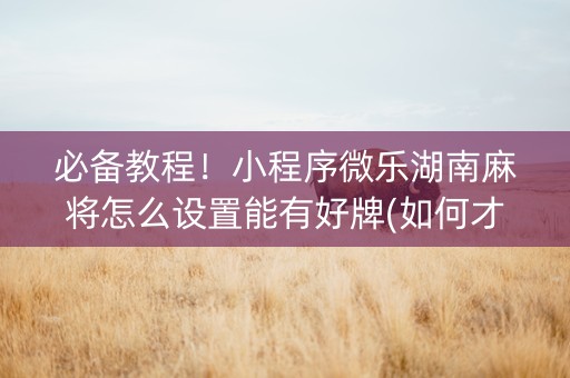 必备教程！小程序微乐湖南麻将怎么设置能有好牌(如何才能打赢)