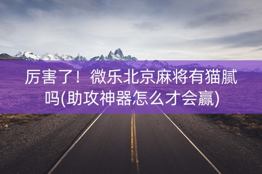 厉害了！微乐北京麻将有猫腻吗(助攻神器怎么才会赢)