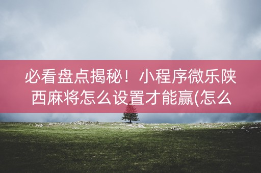 必看盘点揭秘！小程序微乐陕西麻将怎么设置才能赢(怎么才能调胜率)