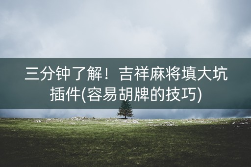 三分钟了解！吉祥麻将填大坑插件(容易胡牌的技巧)
