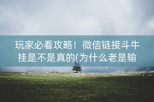 玩家必看攻略！微信链接斗牛挂是不是真的(为什么老是输)