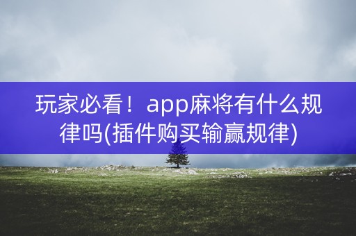 玩家必看！app麻将有什么规律吗(插件购买输赢规律)