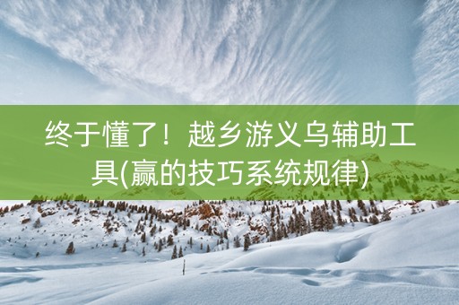 终于懂了！越乡游义乌辅助工具(赢的技巧系统规律)