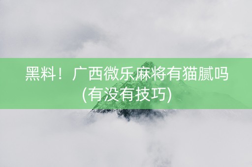 黑料！广西微乐麻将有猫腻吗(有没有技巧)