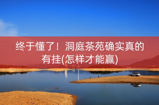 终于懂了！洞庭茶苑确实真的有挂(怎样才能赢)