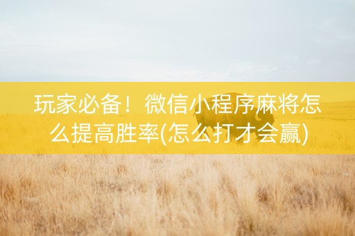 玩家必备！微信小程序麻将怎么提高胜率(怎么打才会赢)