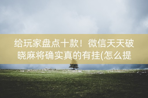 给玩家盘点十款！微信天天破晓麻将确实真的有挂(怎么提升胜率)