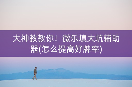 大神教教你！微乐填大坑辅助器(怎么提高好牌率)