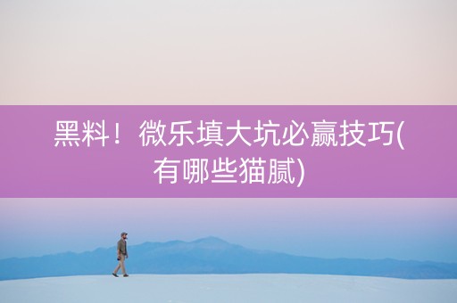 黑料！微乐填大坑必赢技巧(有哪些猫腻)