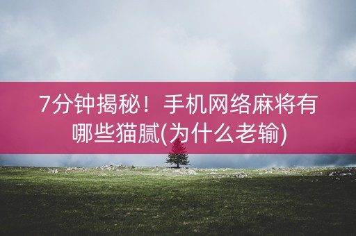 7分钟揭秘！手机网络麻将有哪些猫腻(为什么老输)