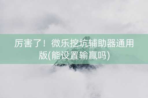 厉害了！微乐挖坑辅助器通用版(能设置输赢吗)