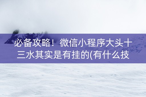 必备攻略！微信小程序大头十三水其实是有挂的(有什么技巧)