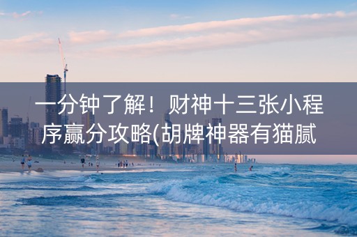一分钟了解！财神十三张小程序赢分攻略(胡牌神器有猫腻吗)