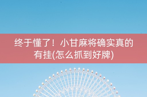 终于懂了！小甘麻将确实真的有挂(怎么抓到好牌)