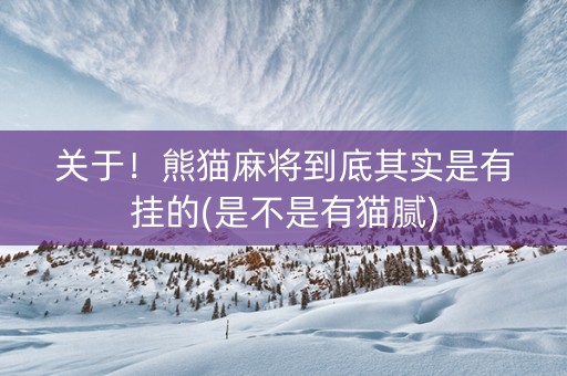 关于！熊猫麻将到底其实是有挂的(是不是有猫腻)