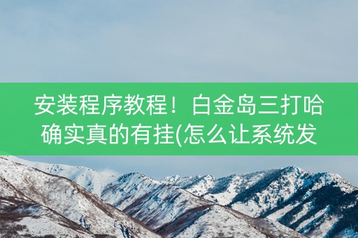 安装程序教程！白金岛三打哈确实真的有挂(怎么让系统发好牌)