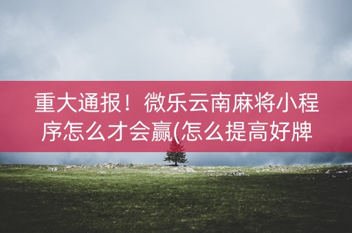 重大通报！微乐云南麻将小程序怎么才会赢(怎么提高好牌几率)