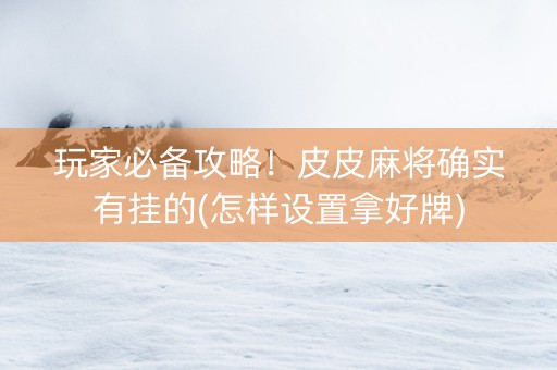 玩家必备攻略！皮皮麻将确实有挂的(怎样设置拿好牌)